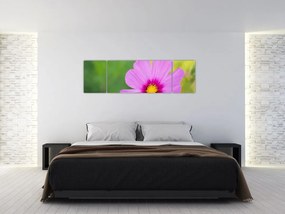 Obraz - polny kwiat (170x50 cm)