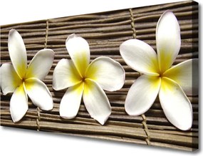 Zdjęcie na płótnie Harmonijna Flora Botaniczna