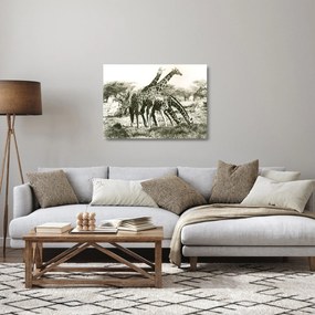 Obraz na szkle - Żyrafy, vintage (70x50 cm)