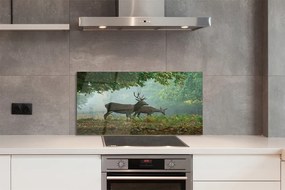 Panel nad Blat Kuchenny Jeleń w Jesiennej Aurze