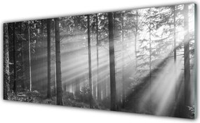 Panel Szklany Słońce w Katedrze Drzew