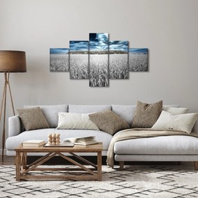 Obraz pola (125x70 cm)