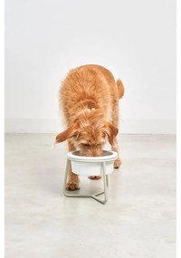 Porcelanowa miska ze stojakiem dla psów ø 20 cm Pranzo Greige M – MiaCara
