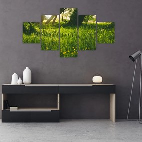 Obraz natury - łąka (125x70 cm)