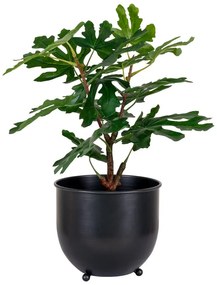 Sztuczna roślina (wysokość 60 cm) Fig – House Nordic