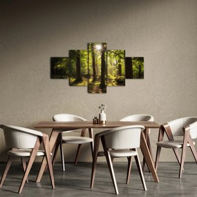 Obraz sennego lasu (125x70 cm)