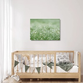 Obraz na szkle - Poranna rosa na źdźbłach trawy (70x50 cm)