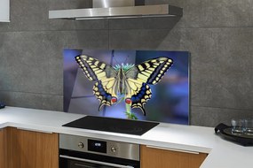 Panel szklany do Kuchni Chwila Odpoczynku Motyla