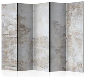 Parawan dwustronny Tła i desenie 225x172 cm 5-częściowy szary ARTGEIST B