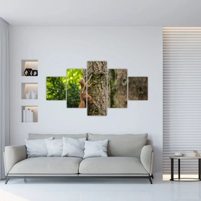 Obraz - wiewiórka (125x70 cm)