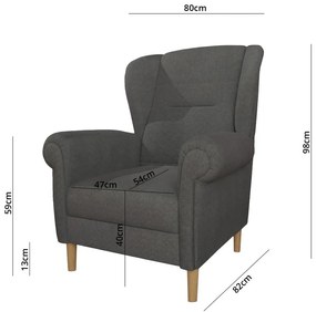 Ciemnoszary fotel typu uszak Swan – Ropez