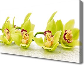 Zdjęcie na płótnie Harmonijny Ogród Kwiatowy