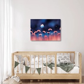Obraz na szkle dmuchawca z niebieskim motylem (70x50 cm)