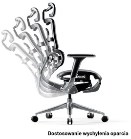 Fotel ergonomiczny Diablo V-Master, czarno-szary