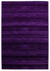 Ciemnofioletowy dywan 80x150 cm Plus – Ayyildiz Carpets
