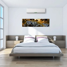 Obraz śpiącego tygrysa (170x50 cm)