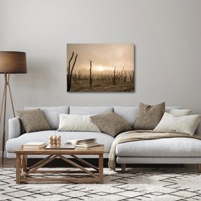 Obraz - Nagie drzewa (70x50 cm)