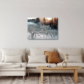 Obraz na szkle - Frozen Meadow (70x50 cm)