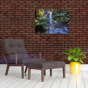 Obraz australijskiego lasu deszczowego (70x50 cm)