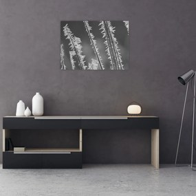 Obraz - Mroźne zimno (70x50 cm)