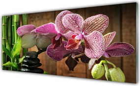 Panel Kuchenny Egzotyczny Duet: Kwiaty I Bambus