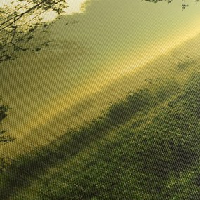 Obraz - Budzący się las (170x50 cm)