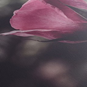 Obraz - Detal kwiatu róży (z zegarem) (90x30 cm)