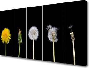 Zdjęcie na płótnie Lekkość Lata: Dmuchawiec