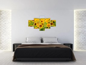 Obraz - Słoneczniki (125x70 cm)