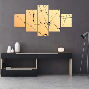 Obraz zroszonej pajęczyny (125x70 cm)