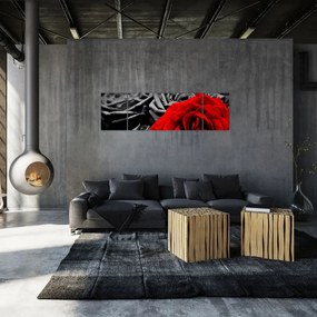 Obraz - Kwiaty róży (170x50 cm)