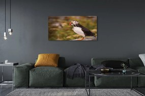 Zdjęcie na płótnie Portret Papugi