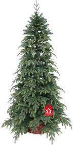 Świerk Natura 150 cm