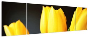 Obraz tulipanów (170x50 cm)