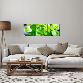 Obraz mięty (z zegarem) (90x30 cm)