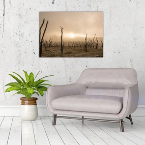 Obraz na szkle - Nagie drzewa (70x50 cm)
