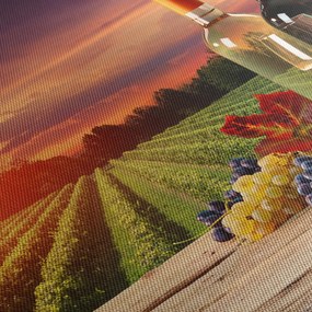 Obraz winnicy z winem (125x70 cm)