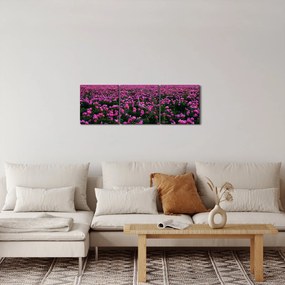 Obraz - Łąka fioletowych tulipanów (z zegarem) (90x30 cm)