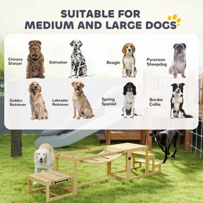 PawHut Zestaw Agility dla Psów, Konstrukcja do Treningu Psów z Mostem, Schodami, Platformą, Drewno Świerkowe, dla Dużych Psów do 40 kg