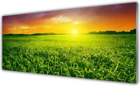 Panel Kuchenny Świt Nad Złocistym Zbożem