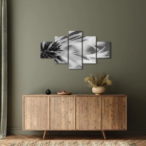Obraz - Makro, czarno - biały (125x70 cm)