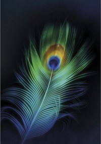 Obraz na płótnie Peacock Eye