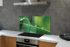 Panel szklany do Kuchni Źdźbło Trawy z Kroplą Rosy