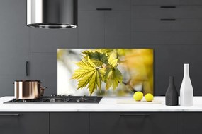 Panel Kuchenny Świeże Liście W Przybliżeniu