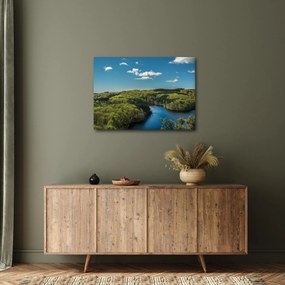 Obraz - Jezioro w lesie (70x50 cm)