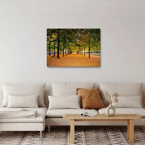 Obraz alei jesiennych drzew (70x50 cm)
