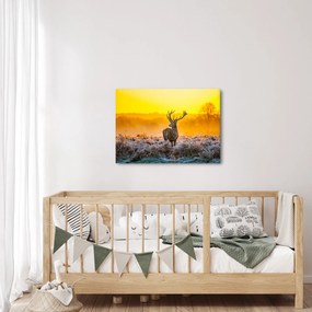 Obraz - Jeleń o wschodzie słońca (70x50 cm)