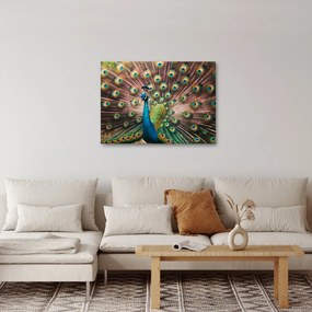 Obraz - Paw (70x50 cm)