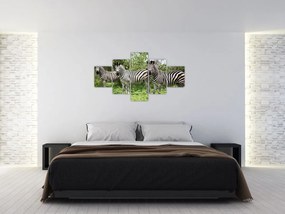 Obraz z zebrami (125x70 cm)