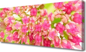 Fotoobraz na płótnie Subtelny Kwiat Lotosu